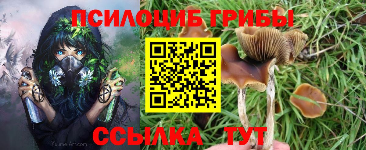 Галлюциногенные грибы ЛСД  Галлюциногенные грибы мухоморы  Вход с VPN  Нижнеудинск 